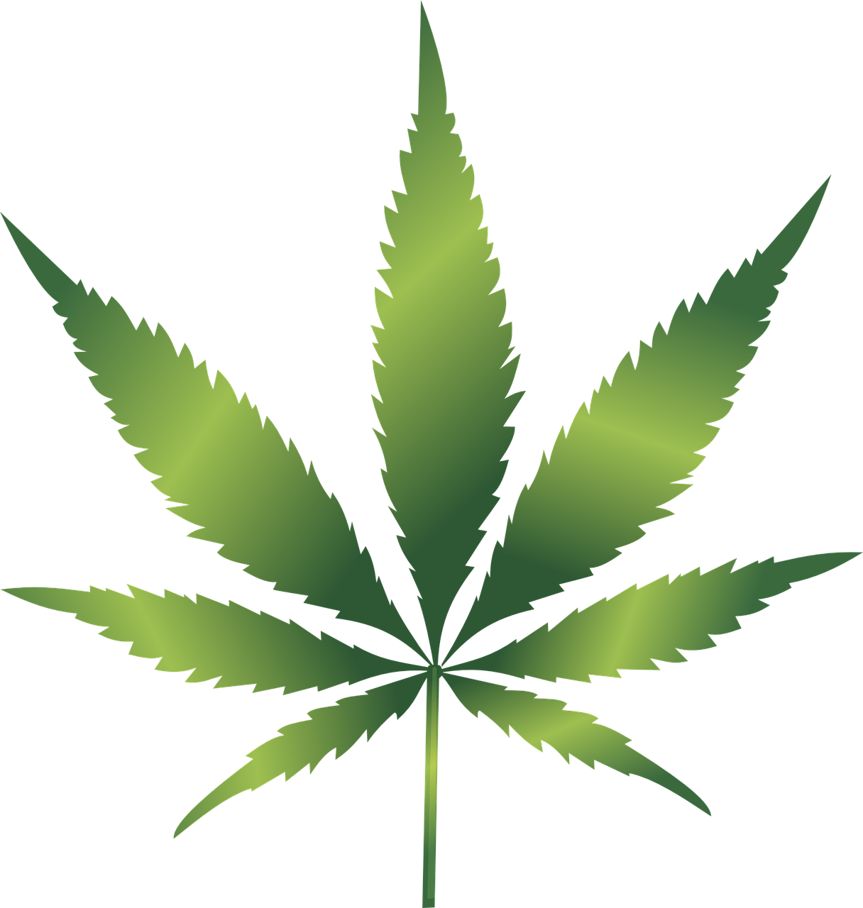 cannabis, curative, cut out-1032119.jpg